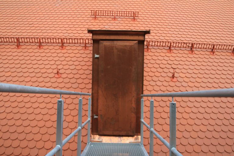 komprimiert_IMG_1092