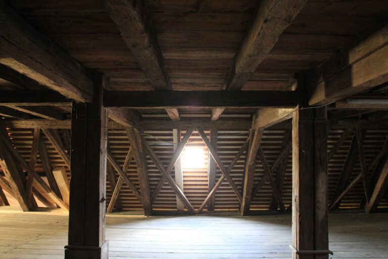 komprimiert_IMG_1097